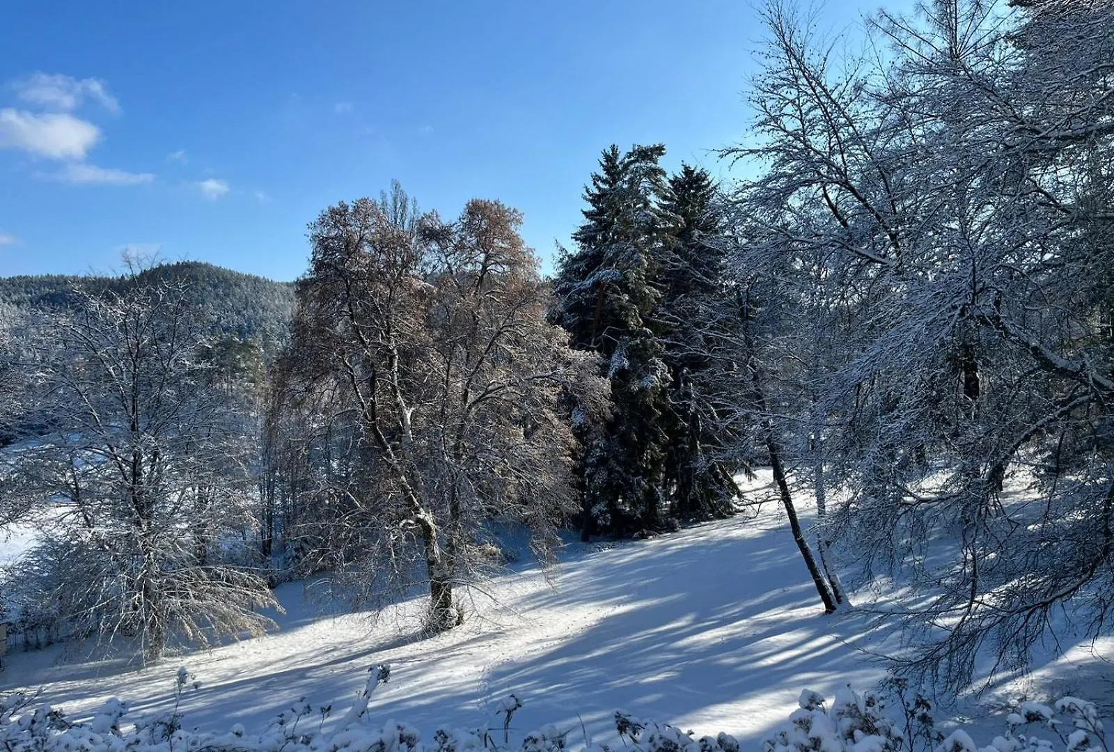 Penzion U Golfu Karlovy Vary Affittacamere